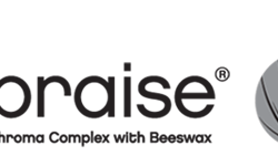 Apraise logo