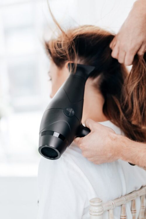 Wahl Style Hair Dryer
