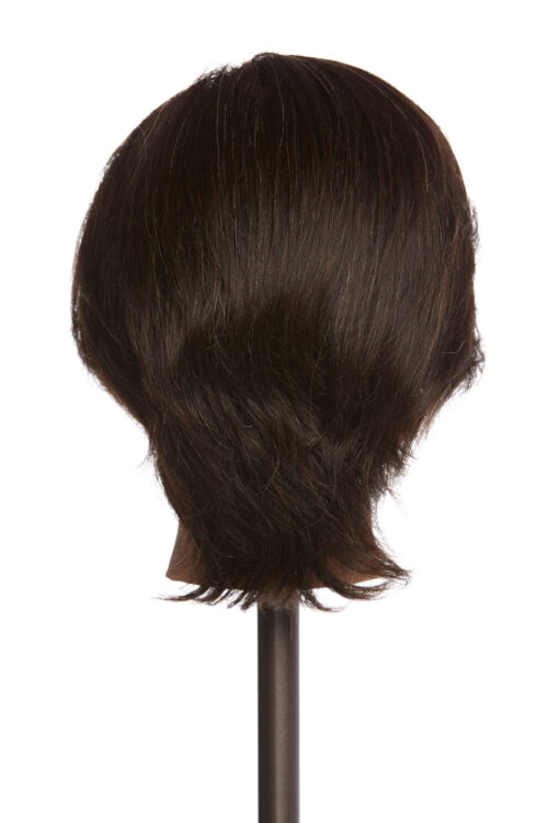 Male mannequin head