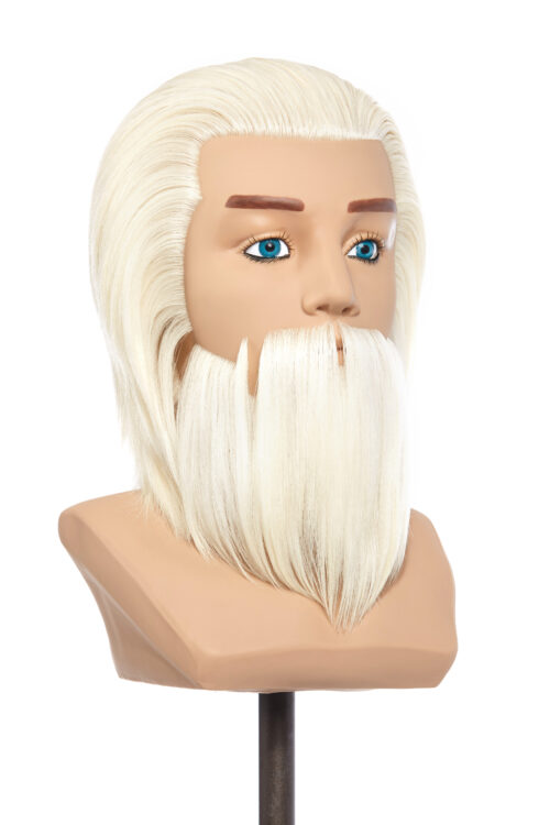 Male mannequin head with beard