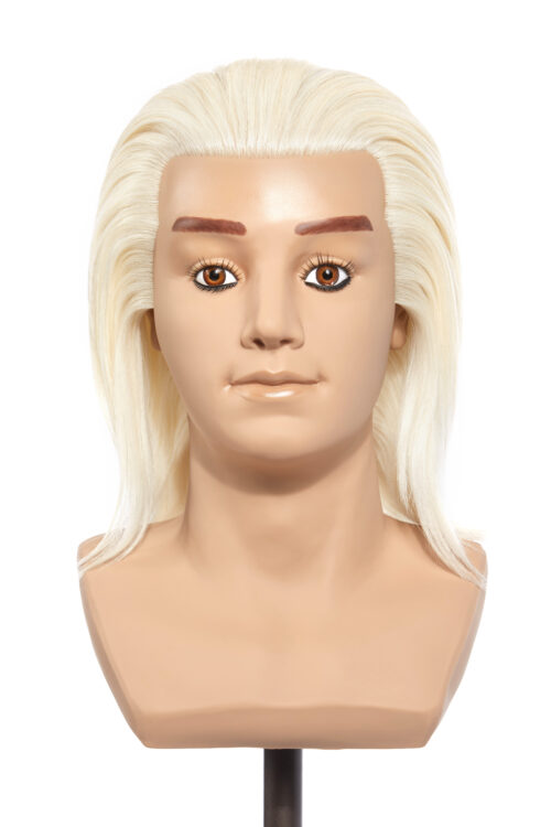 Male mannequin head blonde