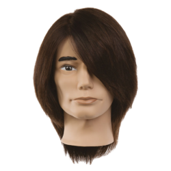 male mannequin head brown