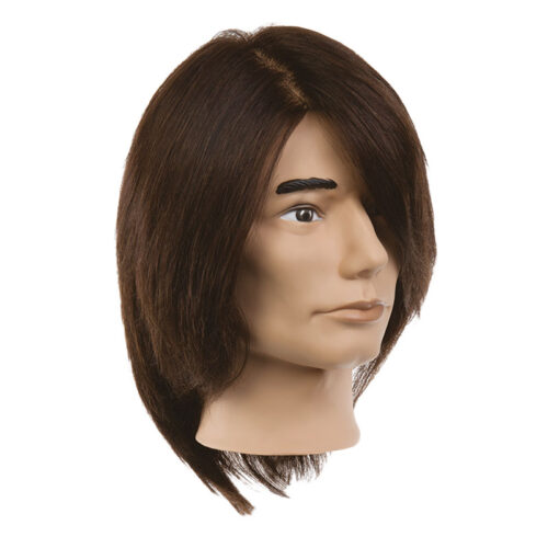 male mannequin head brown