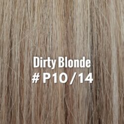 Heavenly Hair Dirty Blonde #P10/14 16" Clip In (Regular)