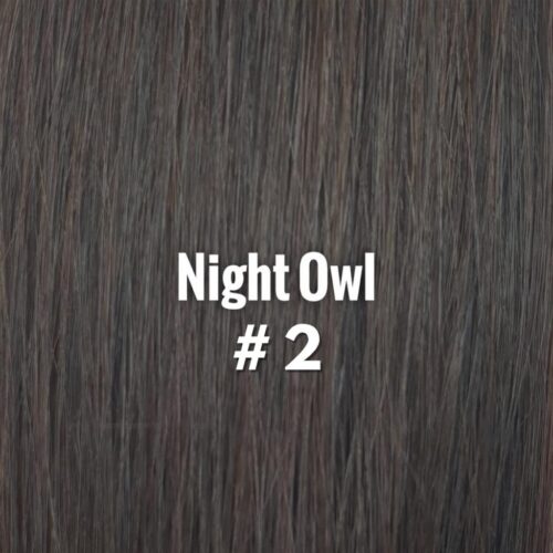 Heavenly Hair Night Owl #2 16" Clip In (Regular)