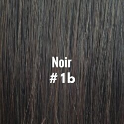 Heavenly Hair Noir #1B 16" Clip In (Regular)