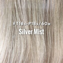 Heavenly Hair Silver Mist #T18S-P18S/60A 16" Clip In (Regular)